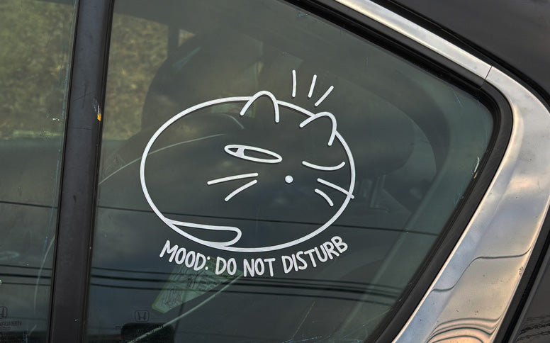 do not disturb cat sticker decal on window